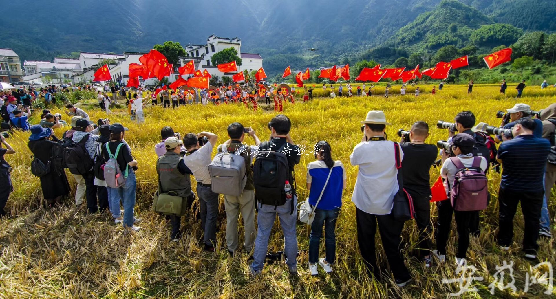 石台农民欢庆“中国学校宣传栏农民丰收节” （组图）