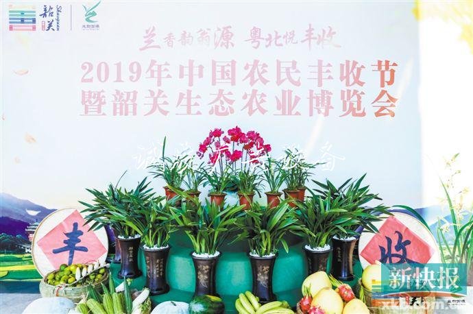 广东各地农民共庆“最美宣传栏丰收节” 分享科技兴农成果