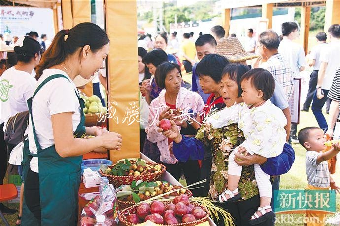 广东各地农民共庆“最美宣传栏丰收节” 分享科技兴农成果