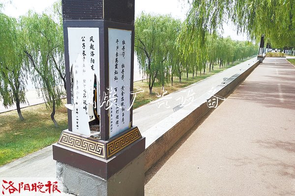 洛浦公园景观路灯遭破滚动式灯箱坏 公共设施需要共同爱护