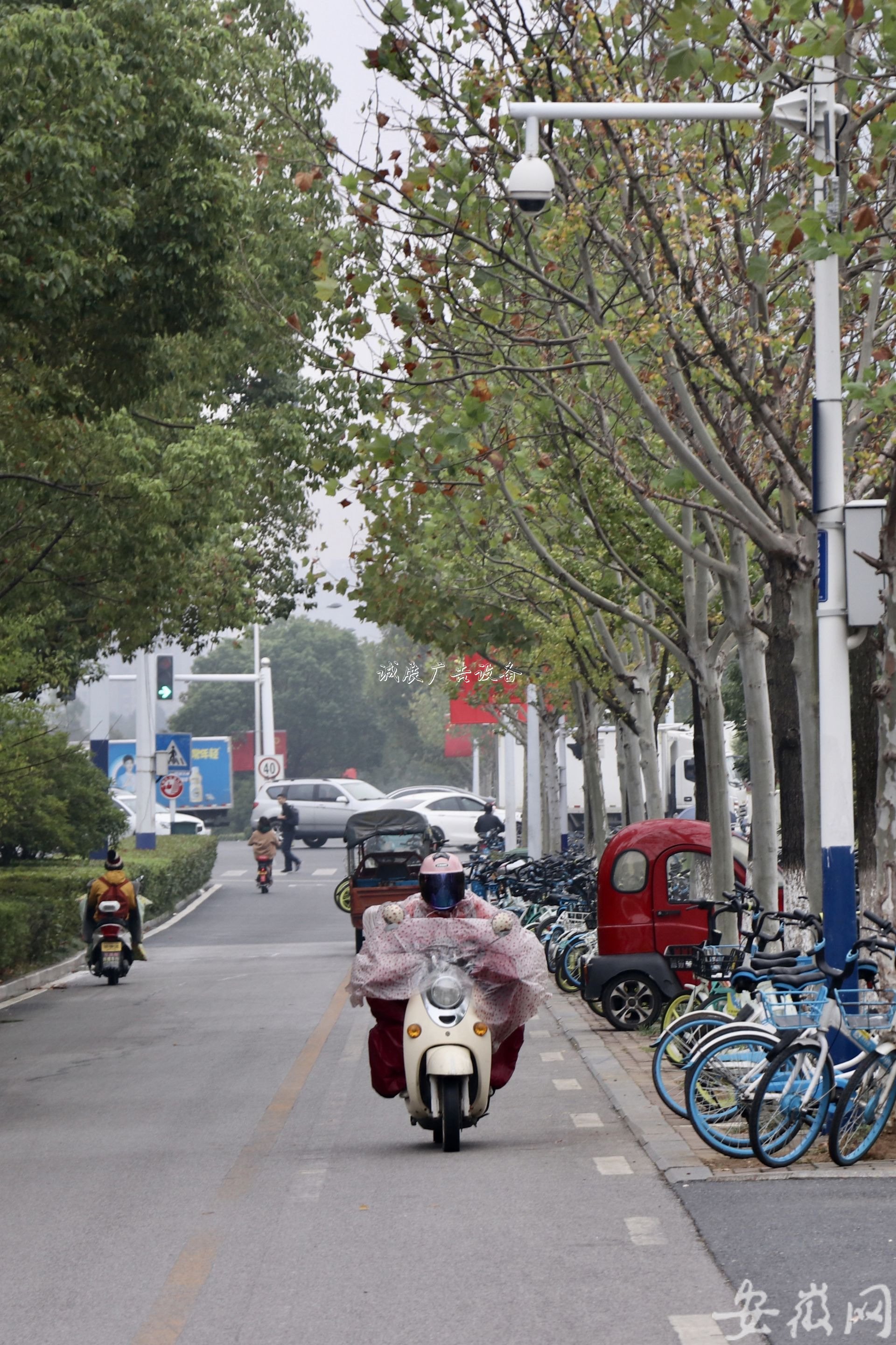 寒露迎小雨学校宣传栏 合肥秋意浓