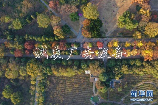 （美丽中国）（4）金陵古道染秋色