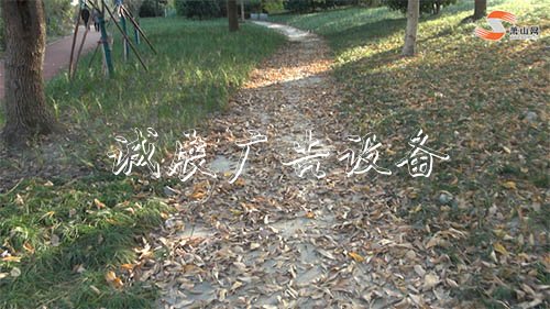 垃圾桶满溢、杂草丛生？又一公园现破败乱象