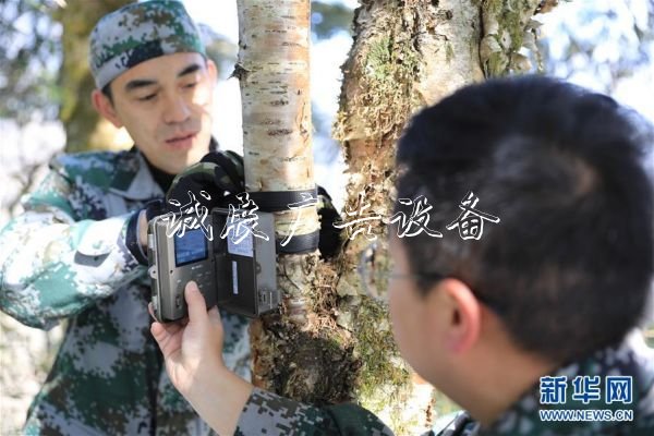 森林巡护员：野生路牌大熊猫栖息地守护者