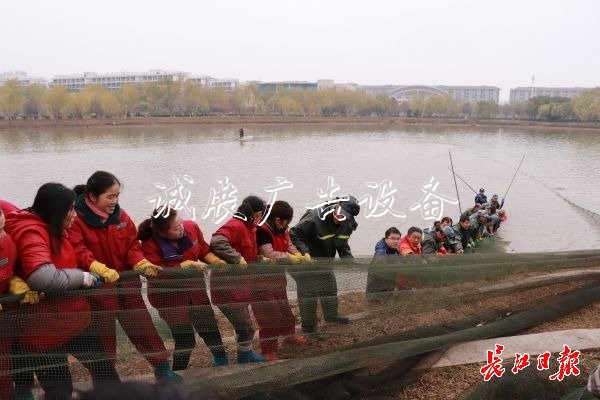 “舌尖上的武科大社区宣传栏”美食评比大赛开赛