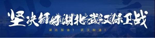 物资采购、送货到户、路灯灯箱人员排查……在汉央企青