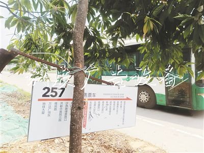 南昌经开区多条道路无广告垃圾箱公交候车亭 回应:将完善