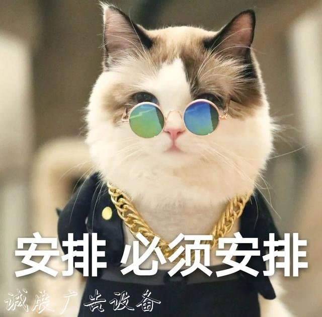 【上观新闻】就地取材,宝山区这群环卫工“借”雨水冲刷垃圾箱房,节水又环保