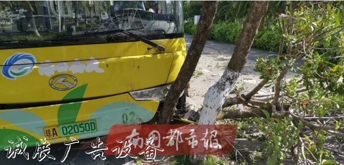 突发！海甸岛一公交接连撞社区宣传栏倒路牌和两棵树，还有一辆轿车…