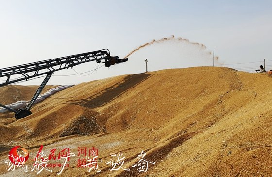 让"中国碗"多盛"河南粮"　　8600万亩小麦颗粒归仓，今年又是一个丰收年！近年来，河南粮食连年丰收，总产量稳定在1300亿斤左右。全国1/10的粮食、超过1/4的小麦均产自这里，<a href=