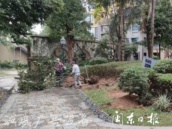 首批82个垃圾分类屋春指路牌灯箱节前建成！有你家小区吗？